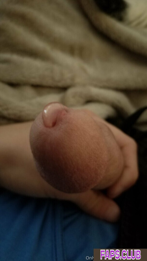 Plush Opossum photo #62 - Faps