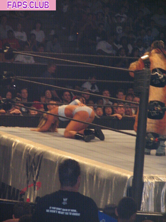 WWE Michelle McCool photo #91 - Faps