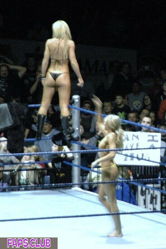 WWE Michelle McCool photo #85 - Faps