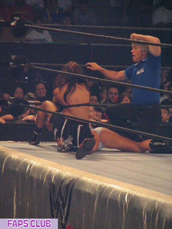 WWE Michelle McCool photo #63 - Faps